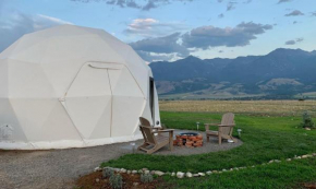 Dome #2